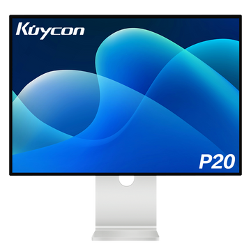 P20